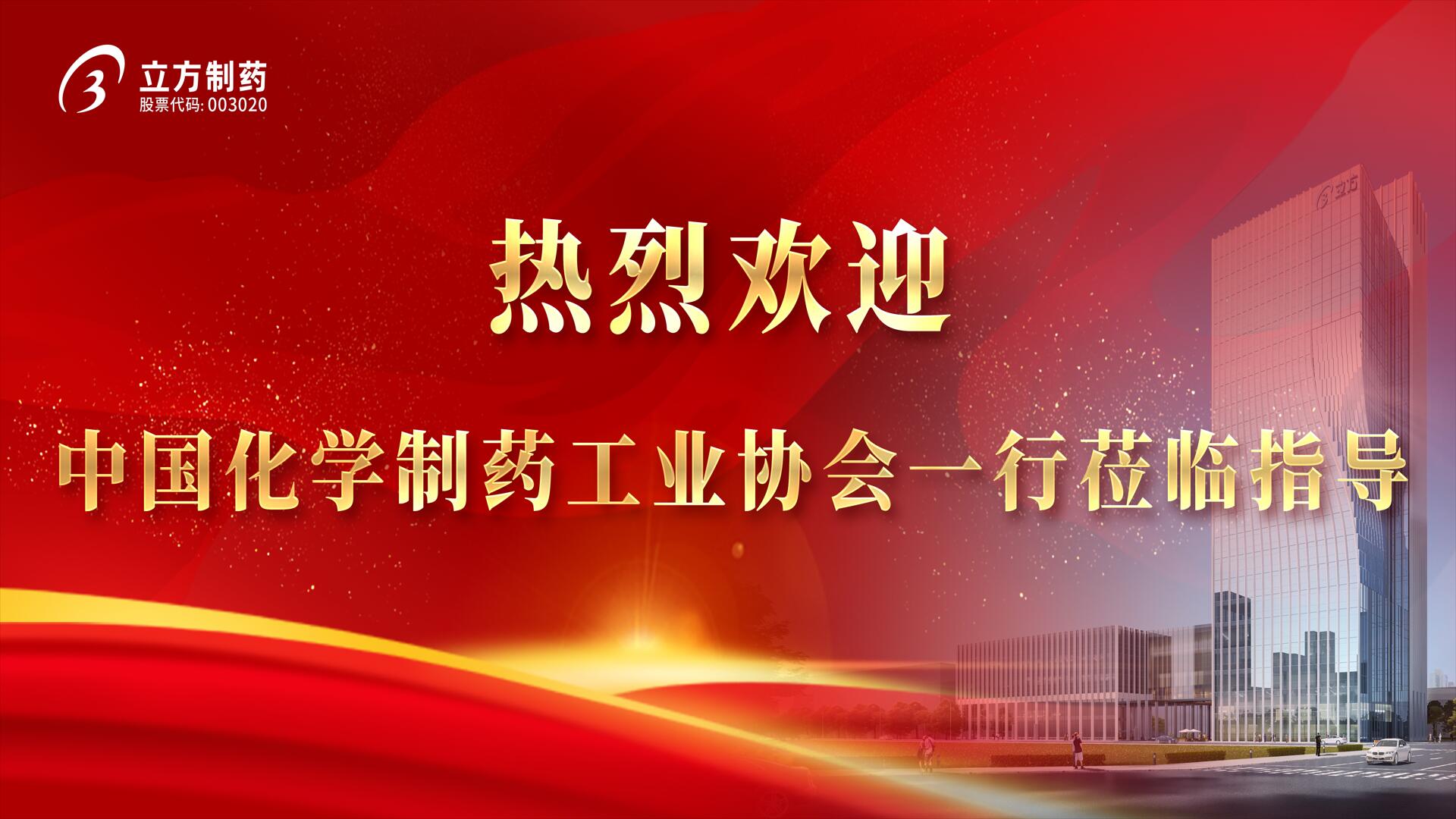 中国化学制药工业协会执行会长雷英一行莅临我司调查领导